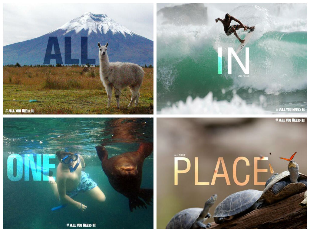 Andes, Amazon, Coast, Galapagos: All in one place